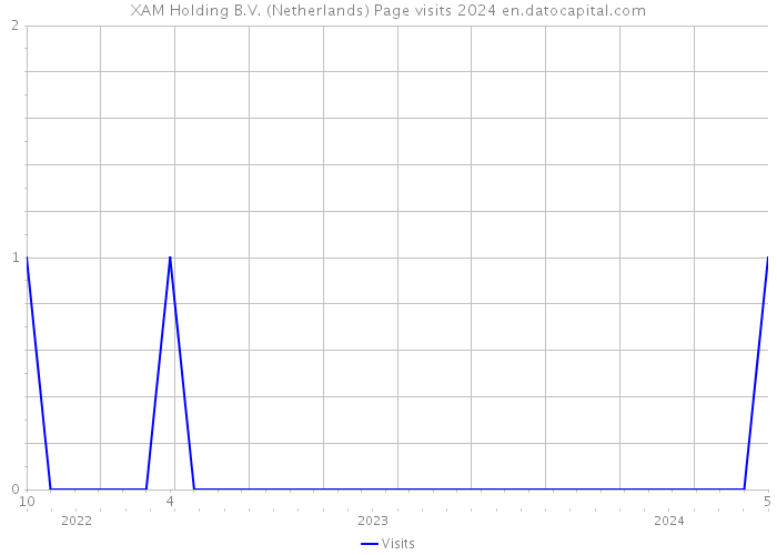 XAM Holding B.V. (Netherlands) Page visits 2024 