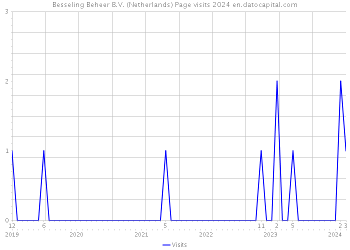 Besseling Beheer B.V. (Netherlands) Page visits 2024 
