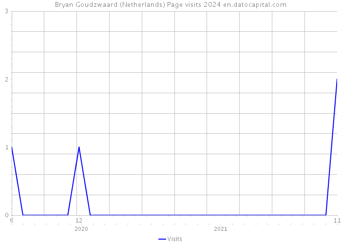 Bryan Goudzwaard (Netherlands) Page visits 2024 
