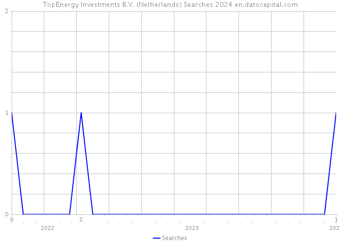 TopEnergy Investments B.V. (Netherlands) Searches 2024 