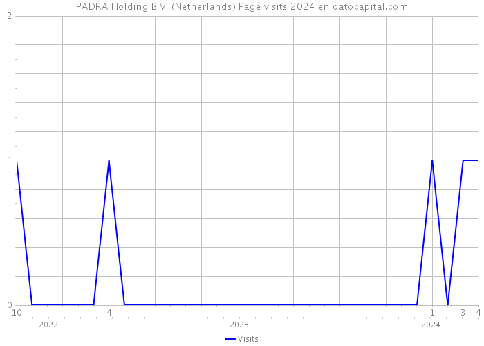 PADRA Holding B.V. (Netherlands) Page visits 2024 