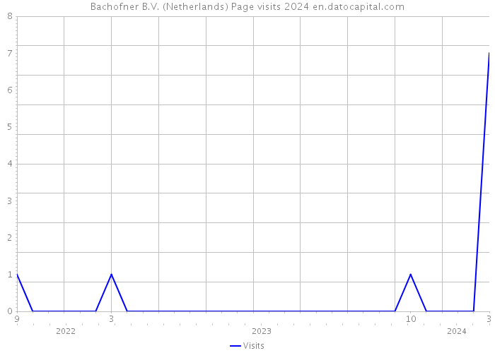 Bachofner B.V. (Netherlands) Page visits 2024 