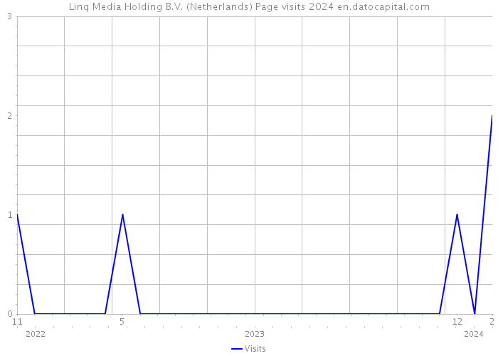 Linq Media Holding B.V. (Netherlands) Page visits 2024 
