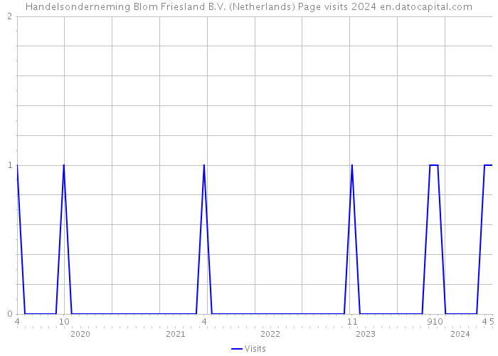 Handelsonderneming Blom Friesland B.V. (Netherlands) Page visits 2024 