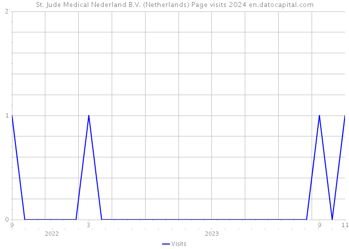 St. Jude Medical Nederland B.V. (Netherlands) Page visits 2024 