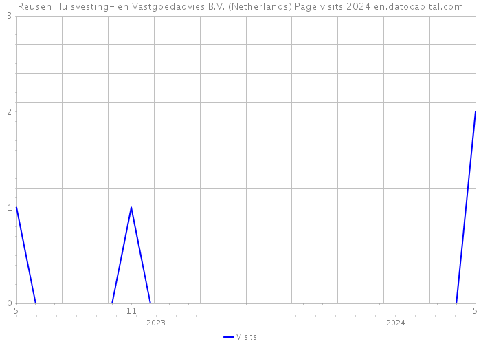 Reusen Huisvesting- en Vastgoedadvies B.V. (Netherlands) Page visits 2024 