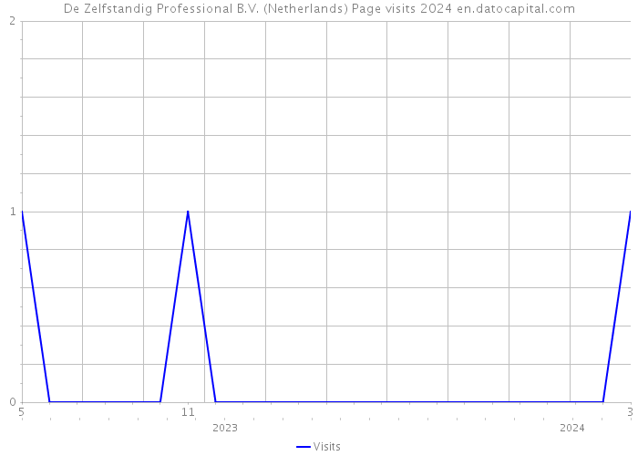 De Zelfstandig Professional B.V. (Netherlands) Page visits 2024 