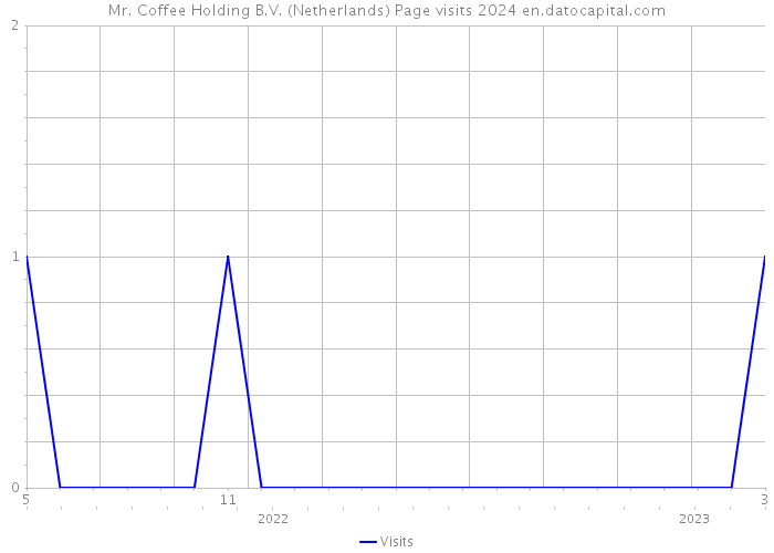 Mr. Coffee Holding B.V. (Netherlands) Page visits 2024 