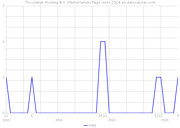 Troostwijk Holding B.V. (Netherlands) Page visits 2024 