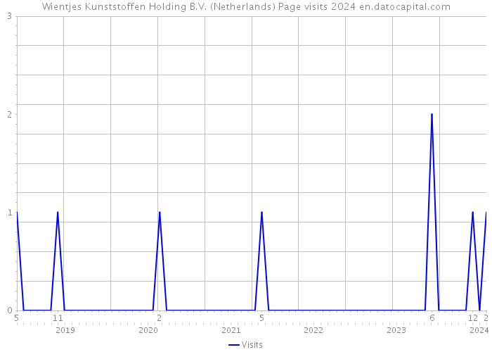 Wientjes Kunststoffen Holding B.V. (Netherlands) Page visits 2024 