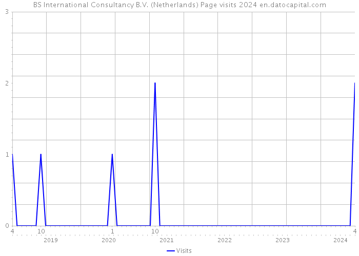 BS International Consultancy B.V. (Netherlands) Page visits 2024 