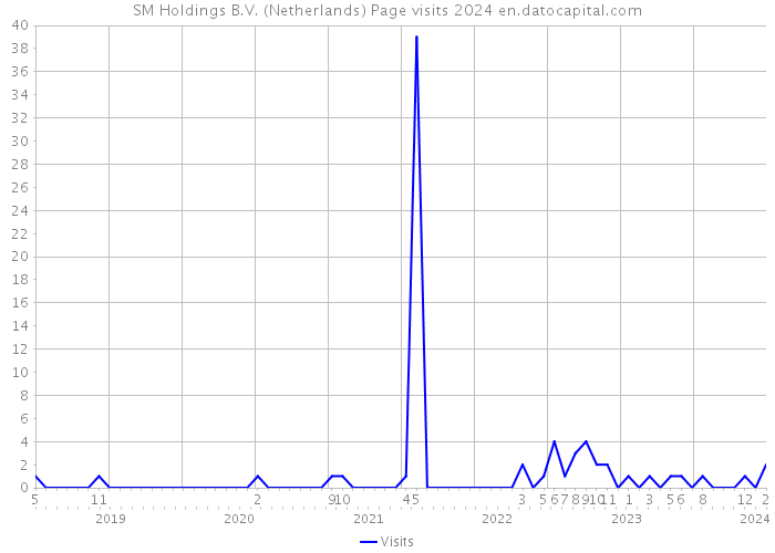 SM Holdings B.V. (Netherlands) Page visits 2024 