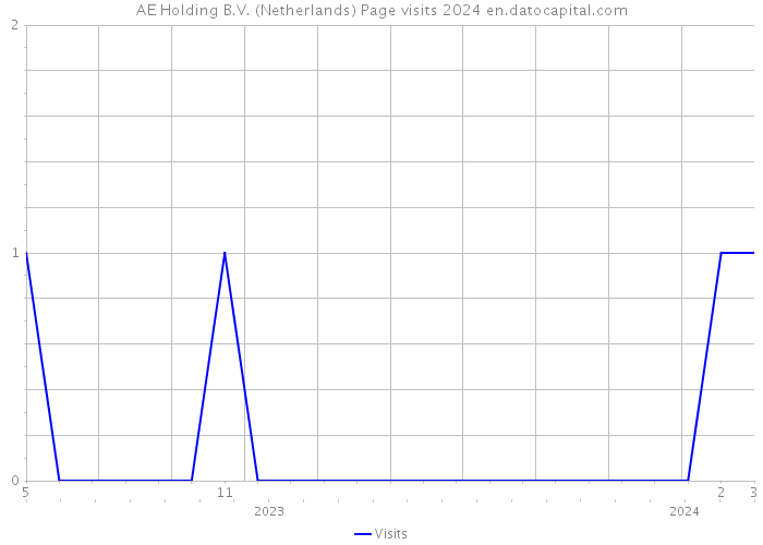 AE Holding B.V. (Netherlands) Page visits 2024 