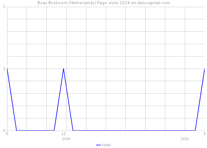 Boaz Bosboom (Netherlands) Page visits 2024 
