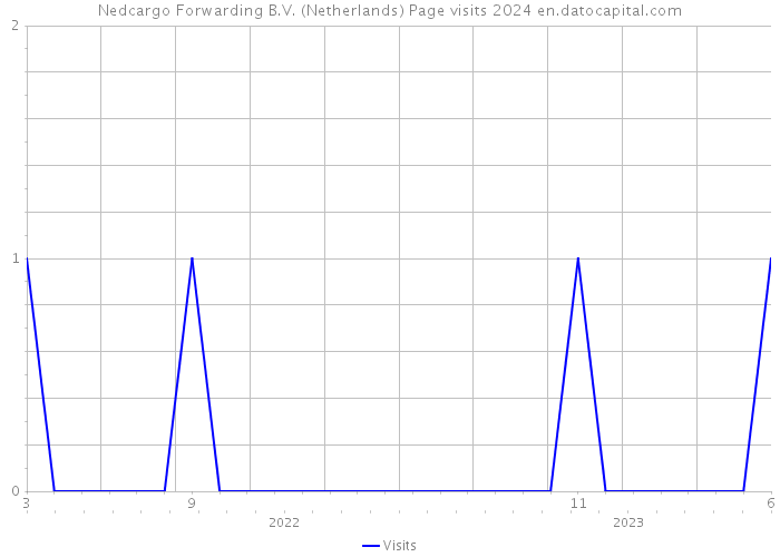 Nedcargo Forwarding B.V. (Netherlands) Page visits 2024 
