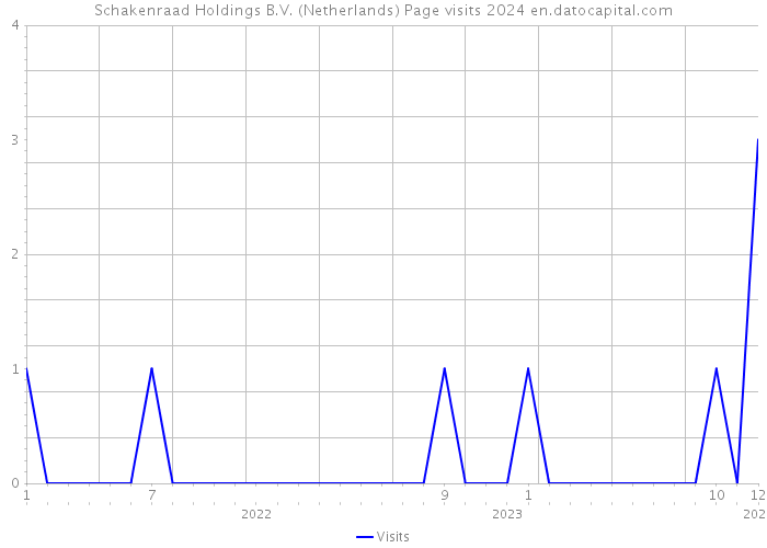 Schakenraad Holdings B.V. (Netherlands) Page visits 2024 
