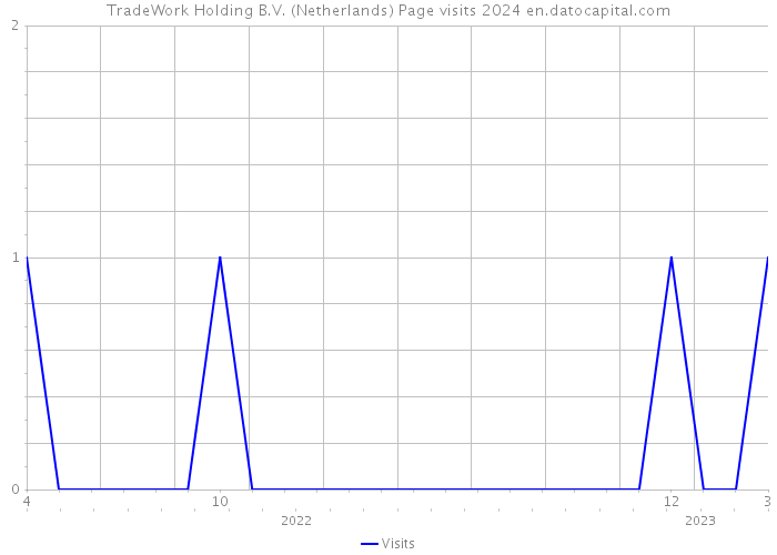 TradeWork Holding B.V. (Netherlands) Page visits 2024 