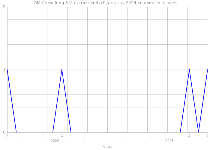 OM Consulting B.V. (Netherlands) Page visits 2024 