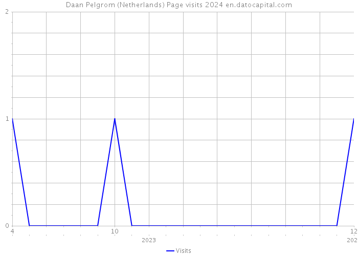 Daan Pelgrom (Netherlands) Page visits 2024 