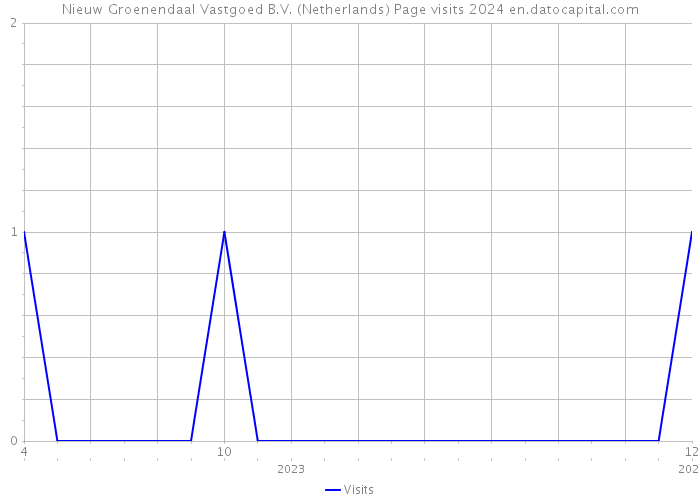 Nieuw Groenendaal Vastgoed B.V. (Netherlands) Page visits 2024 
