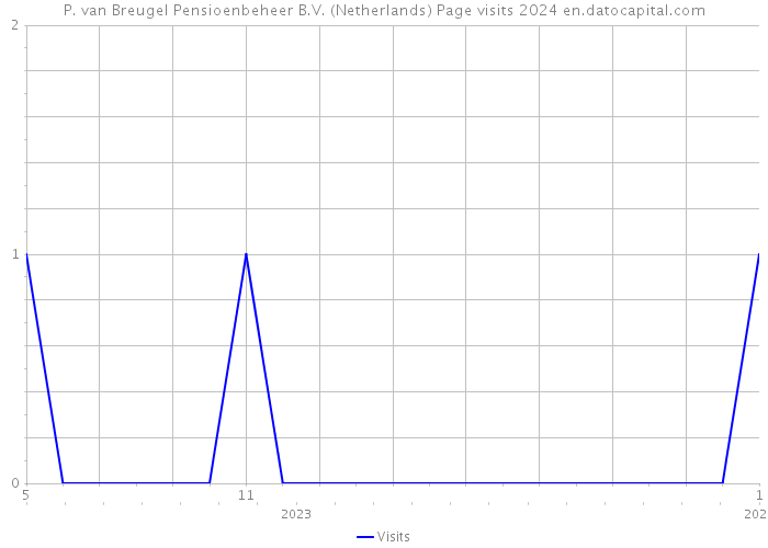 P. van Breugel Pensioenbeheer B.V. (Netherlands) Page visits 2024 