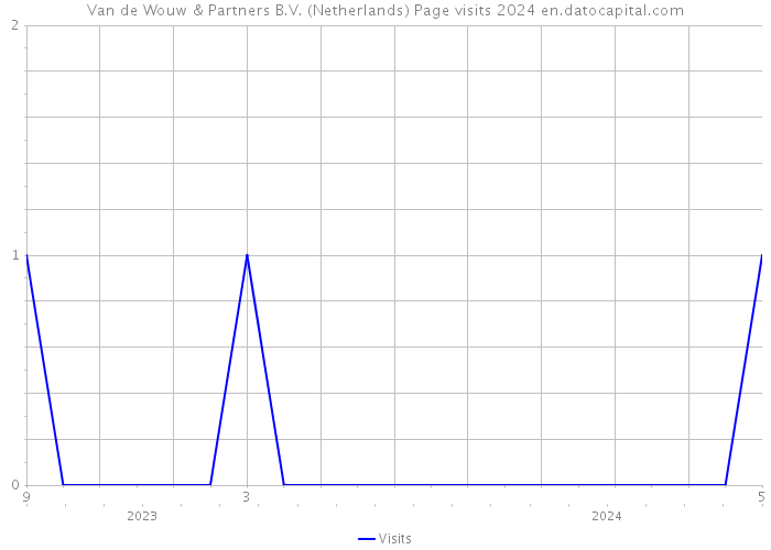 Van de Wouw & Partners B.V. (Netherlands) Page visits 2024 