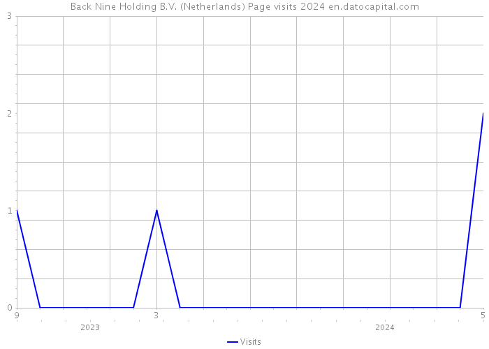 Back Nine Holding B.V. (Netherlands) Page visits 2024 