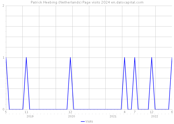 Patrick Heebing (Netherlands) Page visits 2024 
