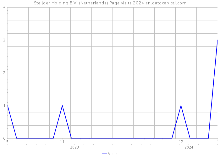 Steijger Holding B.V. (Netherlands) Page visits 2024 
