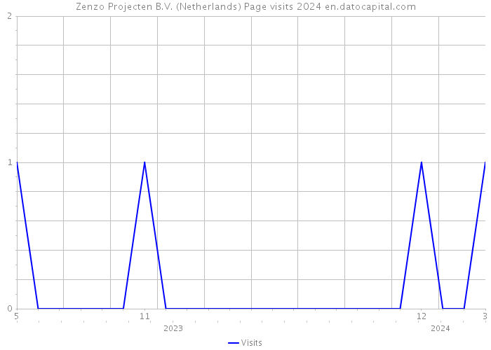 Zenzo Projecten B.V. (Netherlands) Page visits 2024 