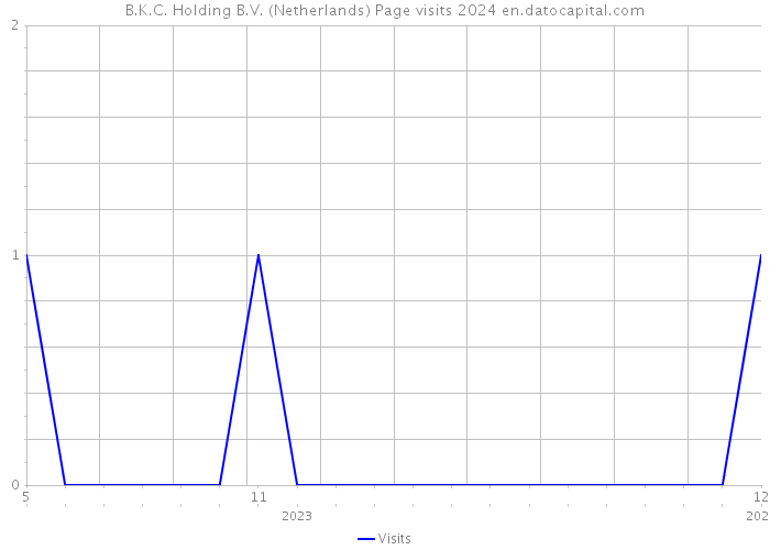 B.K.C. Holding B.V. (Netherlands) Page visits 2024 