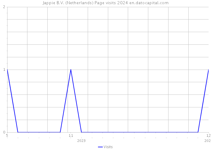 Jappie B.V. (Netherlands) Page visits 2024 