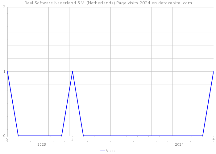 Real Software Nederland B.V. (Netherlands) Page visits 2024 