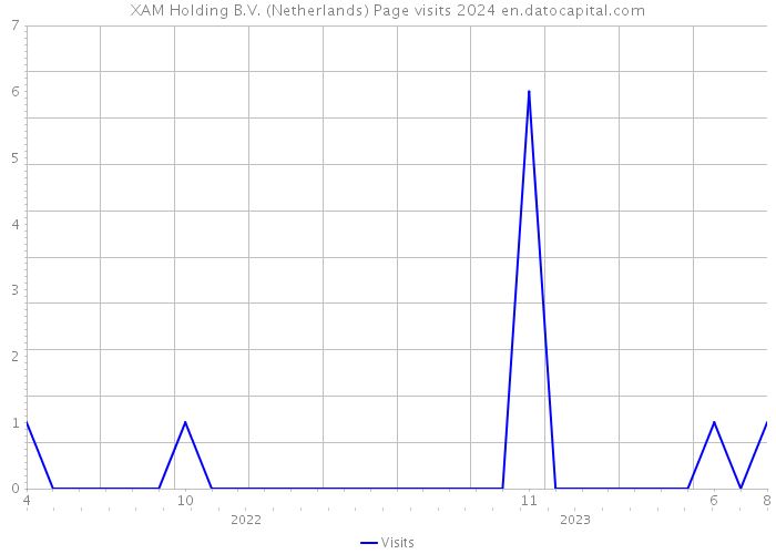 XAM Holding B.V. (Netherlands) Page visits 2024 