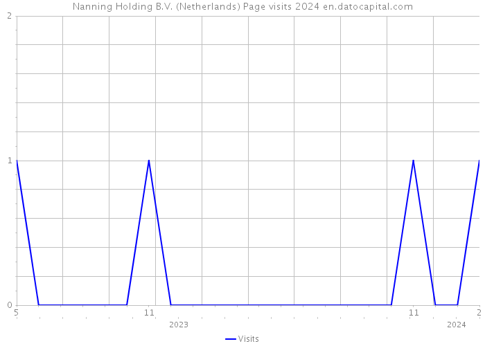 Nanning Holding B.V. (Netherlands) Page visits 2024 