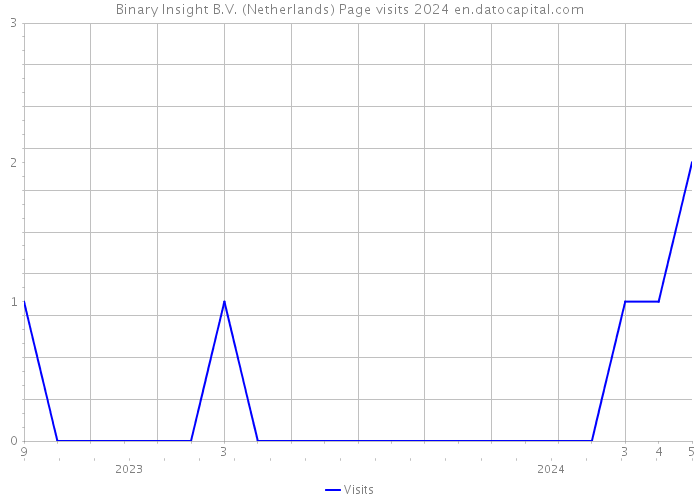 Binary Insight B.V. (Netherlands) Page visits 2024 