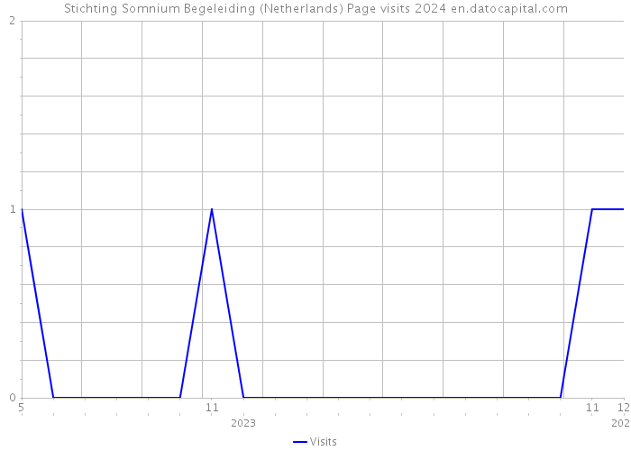 Stichting Somnium Begeleiding (Netherlands) Page visits 2024 