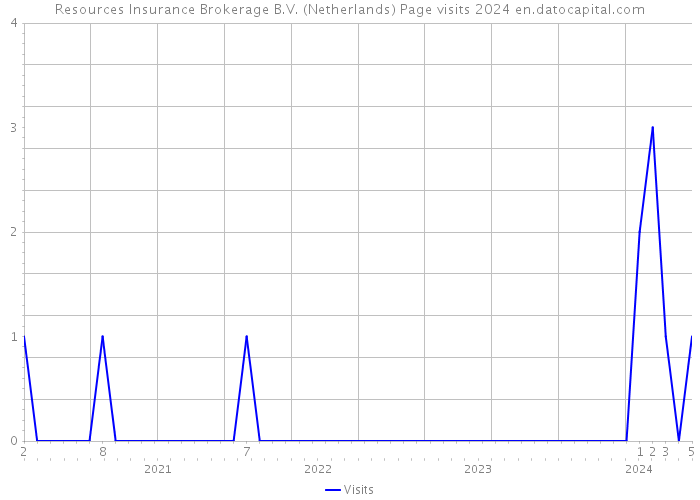 Resources Insurance Brokerage B.V. (Netherlands) Page visits 2024 