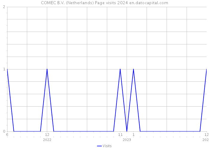 COMEC B.V. (Netherlands) Page visits 2024 