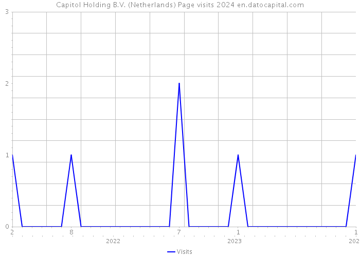Capitol Holding B.V. (Netherlands) Page visits 2024 