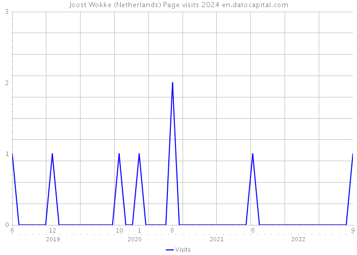 Joost Wokke (Netherlands) Page visits 2024 