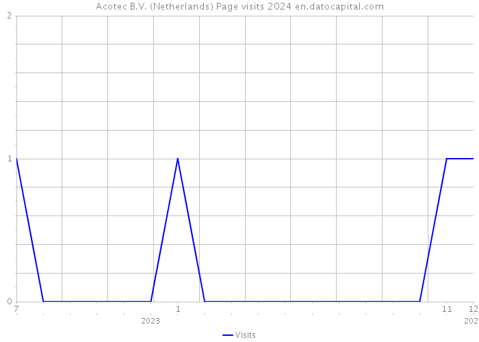 Acotec B.V. (Netherlands) Page visits 2024 