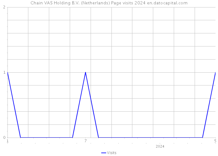 Chain VAS Holding B.V. (Netherlands) Page visits 2024 