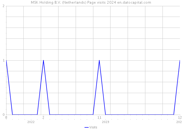 MSK Holding B.V. (Netherlands) Page visits 2024 