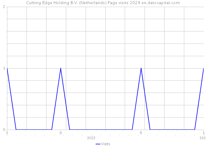 Cutting Edge Holding B.V. (Netherlands) Page visits 2024 
