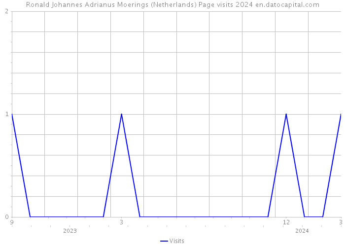 Ronald Johannes Adrianus Moerings (Netherlands) Page visits 2024 