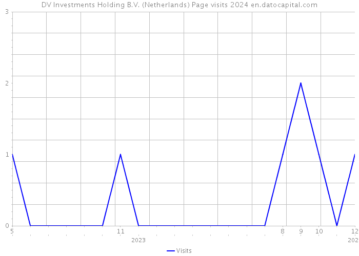 DV Investments Holding B.V. (Netherlands) Page visits 2024 