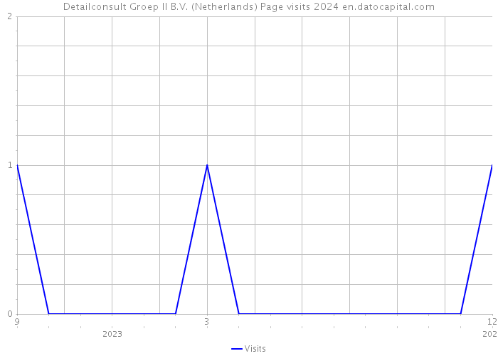 Detailconsult Groep II B.V. (Netherlands) Page visits 2024 