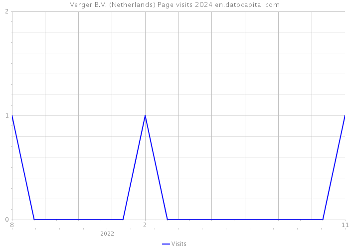 Verger B.V. (Netherlands) Page visits 2024 
