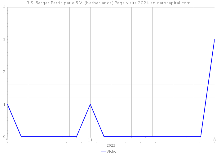 R.S. Berger Participatie B.V. (Netherlands) Page visits 2024 